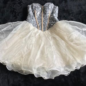 Crystal Bustier TuTu Dress